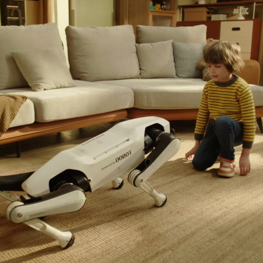 Rover X1 — Your First Robot Dog(Intent Deposit)